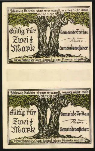 Notgeld Trittau / Holstein, 5 Mark, Mühlenteich und Pastorat, Rückseitig Eiche mit Zwiesel-Wuchs