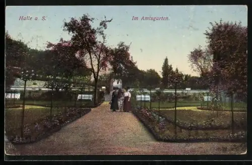 AK Halle a. S., Amisgarten