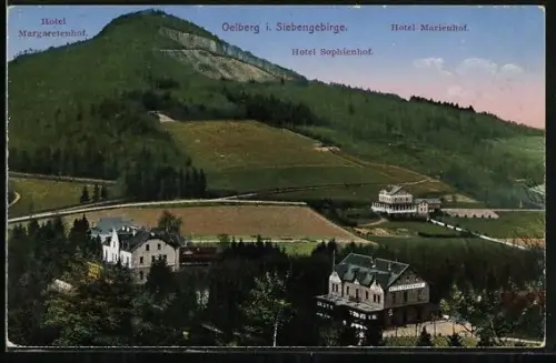 AK Oelberg / Königswinter, Siebengebirge, Hotel Margaretenhof, Hotel Sophienhof, Hotel Marienhof