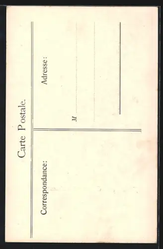 AK Fontenay-le-Comte, Rue Tourgot, Strassenpartie