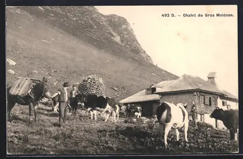 AK Greyerz, Chalet du Gros Moléson mit Bauern und Kühen