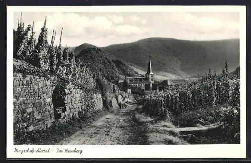 AK Mayschoss-Ahrtal, Im Weinberg