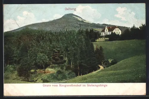 AK Margarethenhof / Siebengeb., Oelberg, Hotel und Pension Margarethenhof