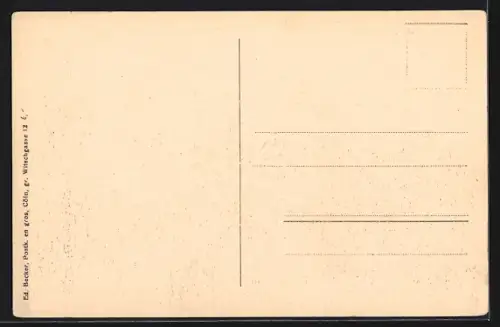 AK Köln-Neustadt, Südbrücke, Dampfschiffe auf dem Rhein