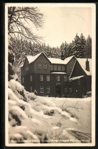 AK Hohegeiss /Hochharz, Wolfsbachmühle im Winter