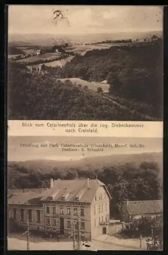AK Kreisfeld, Gasthof zur Erholung mit Park Catarinenholz