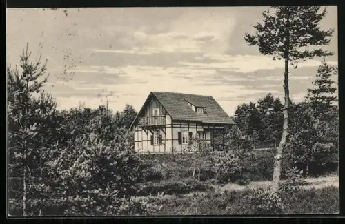 AK Augustdorf, Gasthof Heidehaus Fünf Buchen