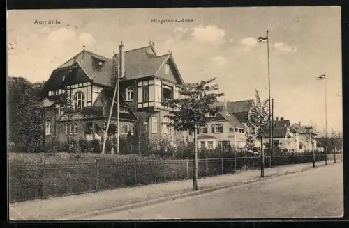 AK Aumühle / Sachsenwald, Pfingstholz-Allee
