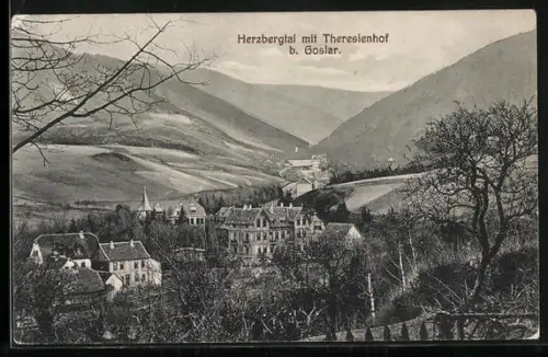 AK Goslar, Herzbergtal mit Hotel Theresienhof