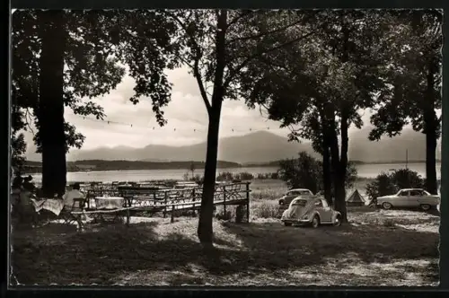 AK Chieming am See, Blick vom Gasthaus Seehäusl