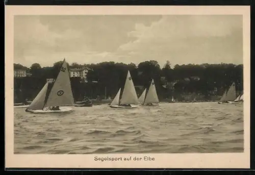 AK Segelsport auf der Elbe