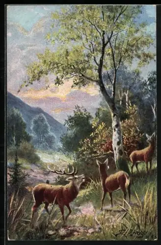 Künstler-AK Hirsch und Weibchen