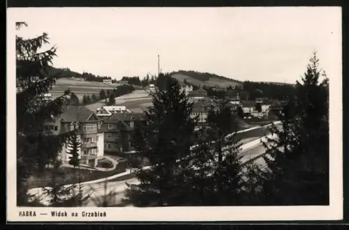 AK Rabka, Widok na Grzebien