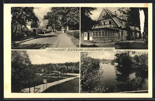 AK Jesteburg /Lüneburger Heide, Seeblick, Strassenpartie