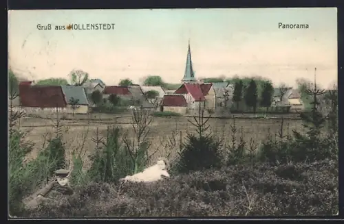 AK Hollenstedt / Estetal, Panorama mit Kirche