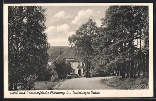AK Detmold /Teutoburger Wald, Hotel und Pension Dörenkrug, Bes. Aug. Habermann