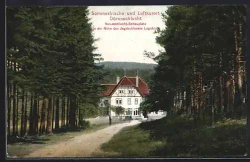 AK Dörenschlucht / Teutoburger Wald, Gasthaus Dörenschlucht, Bes. Heinr. Hagemann