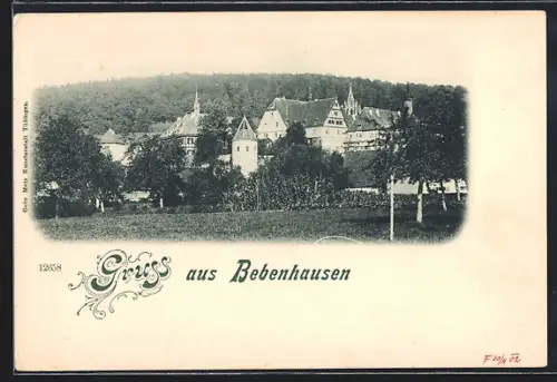 AK Bebenhausen, Ortspanorama