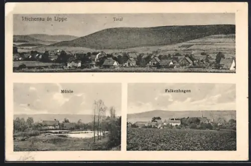 AK Rischenau in Lippe, Mühle, Falkenhagen