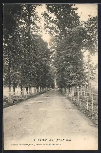AK Motteville, Une avenue bordée d`arbres majestueux