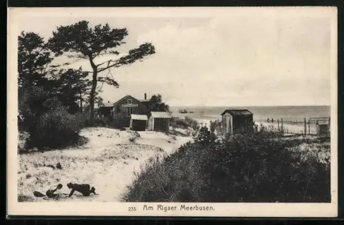 AK Riga, Strandpartie am Rigaer Meerbusen