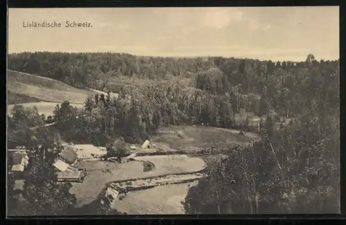 AK Livländische Schweiz, Waldlandschaft aus der Vogelschau