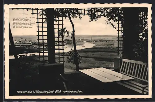 AK Holzminden i. Weserbergland, Blick vom Kiekenstein
