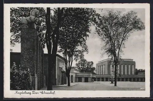 AK Magdeburg, Der Ehrenhof
