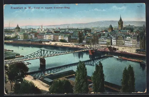 AK Alt-Frankfurt, Total mit neuem Eisernen Steg