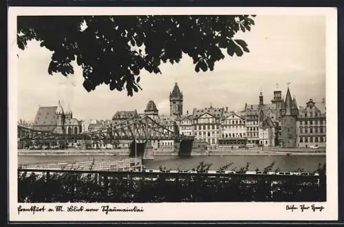 AK Frankfurt am Main, Blick auf Altstadt und Mainufer