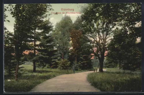 AK Oldenburg / O., Chaussee im Eversten-Holz