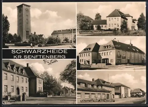 AK Schwarzheide /Kr. Senftenberg, Kulturhaus und HOG Zum Wandelhof, Polytechnische Oberschule, Filmbühne, Wasserturm