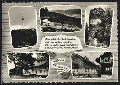 AK Rimbach /Bayr. Wald, Gasthaus am Hohenbogen, Inh. Wilhelmine Bablik, Burgruine Lichtenegg, Fernseh-Sender, Ausblick