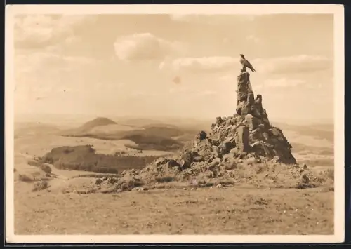Foto-AK Fliegerdenkmal auf der Wasserkuppe