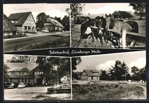 AK Schätzendorf /Lüneburger Heide, Gasthaus Leben, Pferde an der Strasse nach Garlstorf, Ortspartie