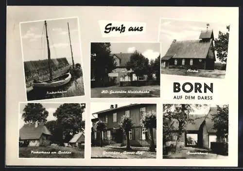 AK Born a. d. Darss, HO-Gaststätte Waldschänke, Gaststätte Borner Hof, Bauernhaus, Fischerhafen, Kirche