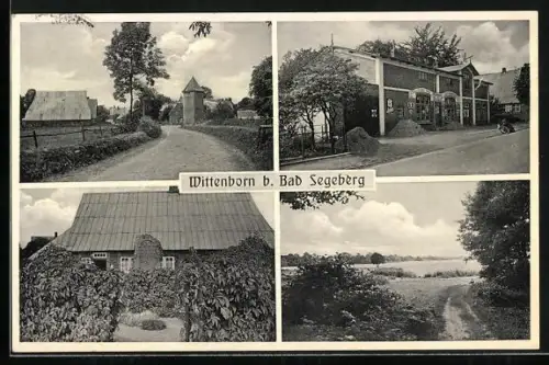 AK Bad Segeberg, Kaufhaus Wittenborn, Inh. Herm. Lentföhr