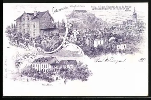 Lithographie Bad Wildungen, Helenenheim, Schloss Friedrichstein, Altes Haus