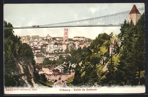 AK Fribourg, Vallée de Gotteron