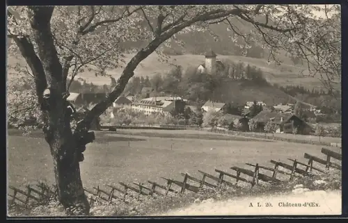 AK Château-d`Oex, Teilansicht mit Bäumen