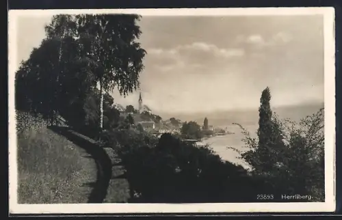 AK Herrliberg, Wegpartie zum Ort