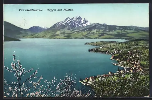 AK Weggis /Vierwaldstättersee, Panorama mit Pilatus