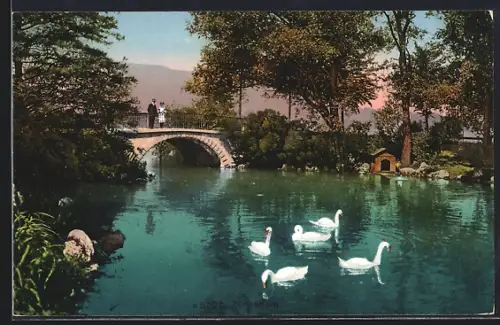 AK Zürichhorn, Paar auf Brücke mit Schwänen