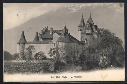 AK Aigle, Le Château