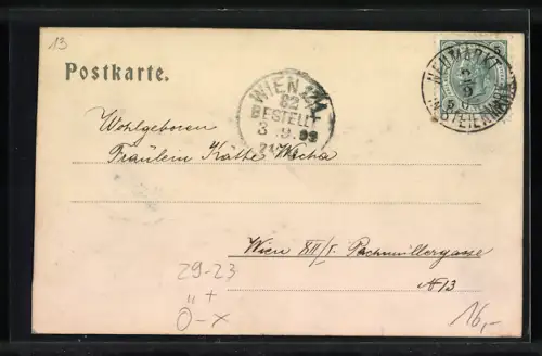 Relief-AK Neumarkt i. St., Schloss Forchtenstein, Panorama