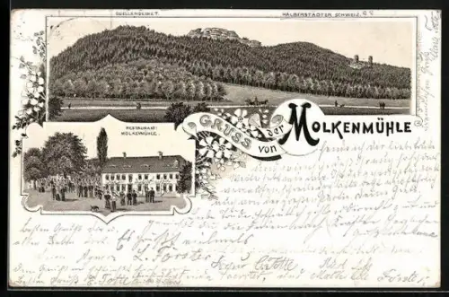 Lithographie Bad Harzburg, Restaurant Molkenmühle, Quellengebiet und Halberstädter Schweiz