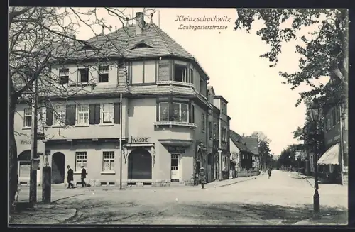 AK Dresden-Kleinzschachwitz, Geschäft Mina Walther in der Laubegasterstrasse