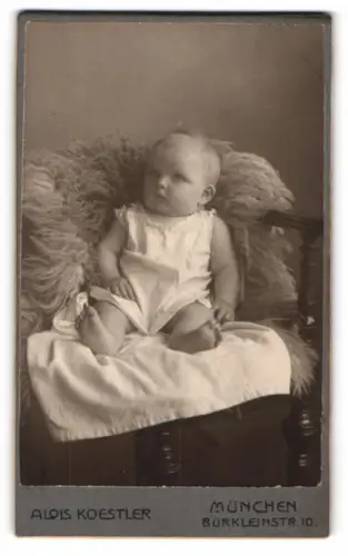 Fotografie Alois Koestler, München, Bürkleinstr. 10, Marinna Bauer mit 7 Monaten