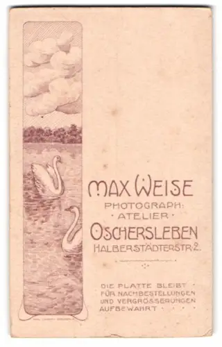Fotografie Max Weise, Oschersleben, Halberstädterstr. 2, Schwäne auf dem Wasser nebst Anschrift des Atelier