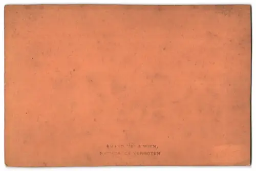 Fotografie Amand Heiner, Wien, Ansicht Sonntagberg, prachtvolle Ansicht der Basilika